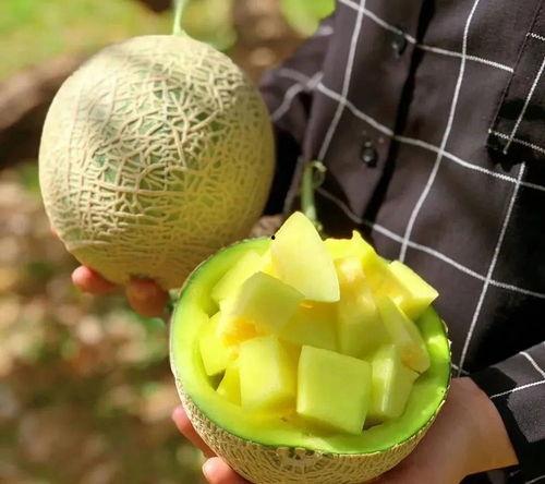 娱乐圈最近有什么瓜可以吃,明星秘闻大揭秘!